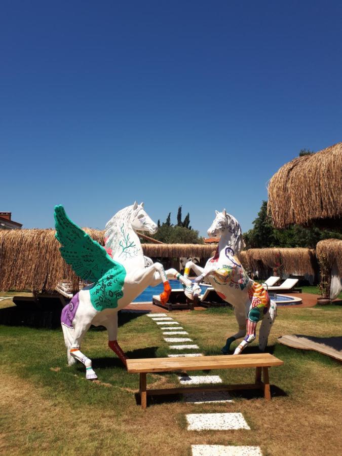 Albeon Luxury Hotel - אלאקאטי מראה חיצוני תמונה