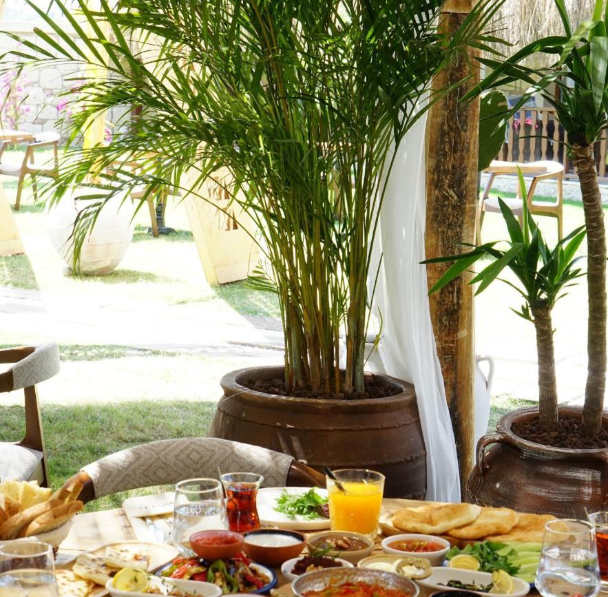 Albeon Luxury Hotel - אלאקאטי מראה חיצוני תמונה