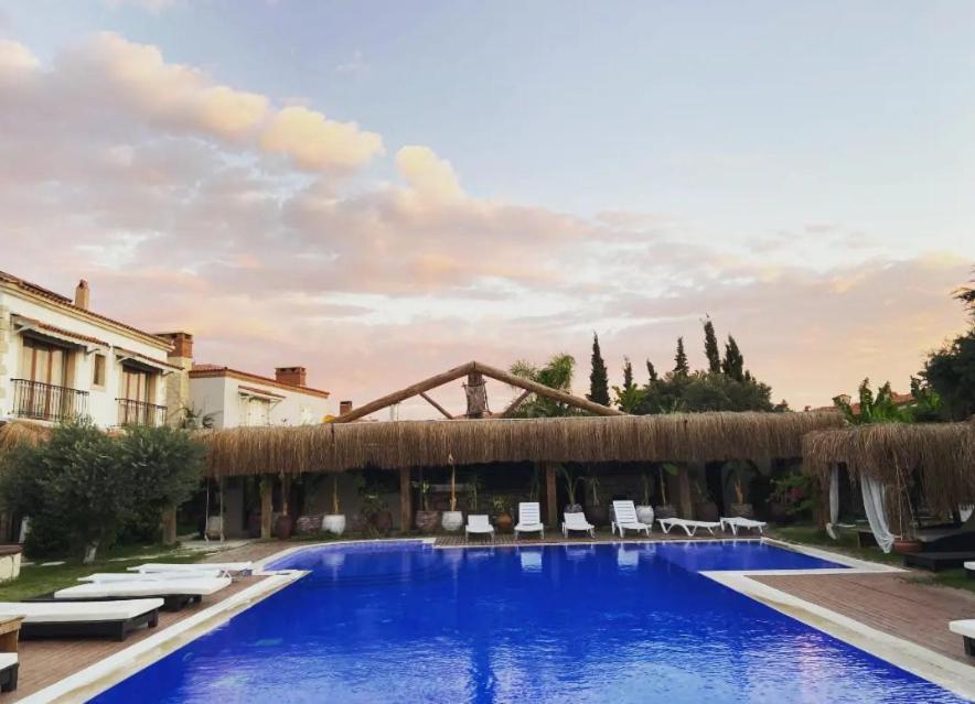 Albeon Luxury Hotel - אלאקאטי מראה חיצוני תמונה