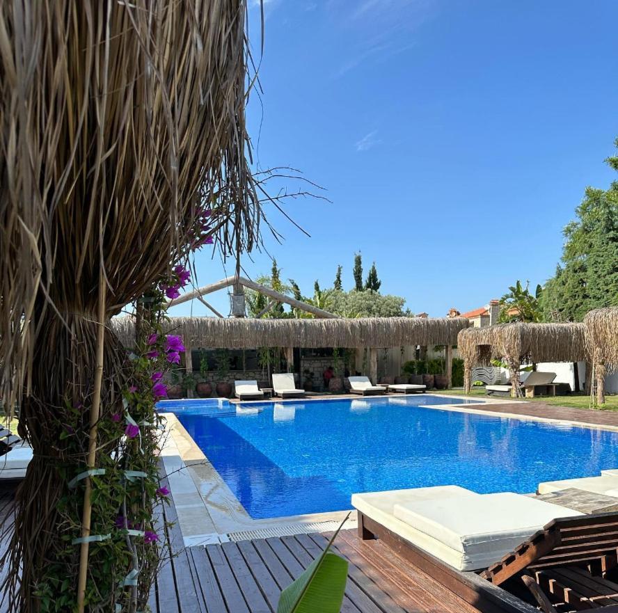 Albeon Luxury Hotel - אלאקאטי מראה חיצוני תמונה